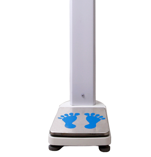 �O����y�������z�y